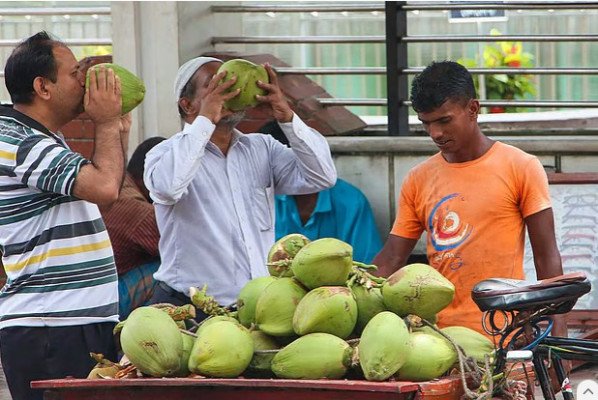 ডাবের পানি সবার জন্য নয়, কারা এবং কেন অবশ্যই এড়িয়ে চলবেন