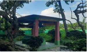 ইতিহাস ও প্রেমের সাক্ষী গৌরীপুরে বীরাঙ্গনা সখিনা বিবির সমাধি