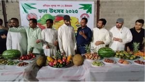 কুয়েতে ফল উৎসব