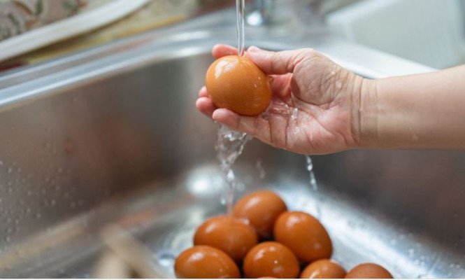 ডিম রান্না করার আগে ধোয়া জরুরি কেন, না ধুইলে কী হয়?