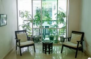 বায়োফিলিক আসবাবের ধারা কেন জনপ্রিয় হচ্ছে