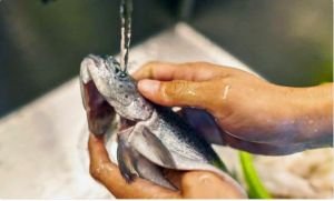 মাছ ধোয়ার পর হাত থেকে আঁশটে গন্ধ দূর করার উপায়