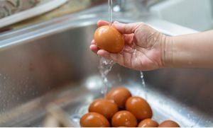 ডিম রান্না করার আগে ধোয়া জরুরি কেন, না ধুইলে কী হয়?