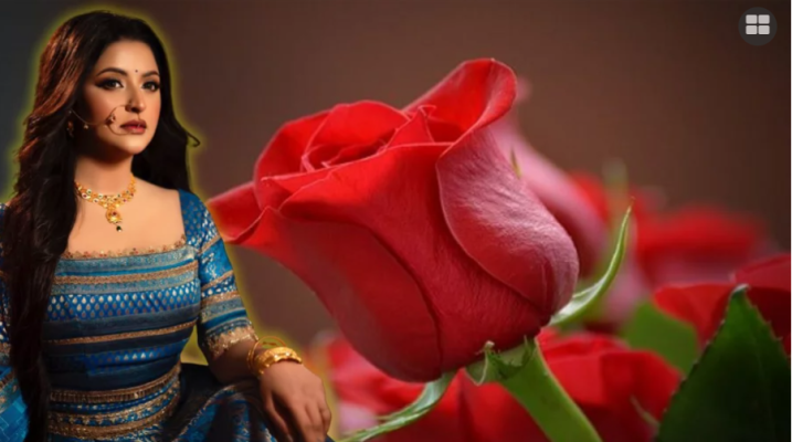 অপেক্ষার পালা শেষ, নতুন বছরেই ‘গোলাপ’ উপহার দিবেন পরীমণি