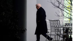 আগস্টের পর থেকে কমপক্ষে ৮২ মিলিয়ন ডলারের বন্ড কিনেছেন ট্রাম্প