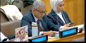 নিউইয়র্কে জাতিসংঘে রোহিঙ্গা ইস্যুতে প্রস্তাব গৃহীত