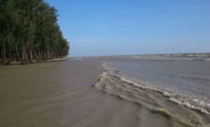 ঘুরে আসতে পারেন সমুদ্র ও বনের ছায়ায় ঘেরা ভোলার তারুয়া দ্বীপে