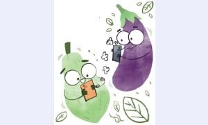 পেঁপেকে বেগুনের মেসেজ