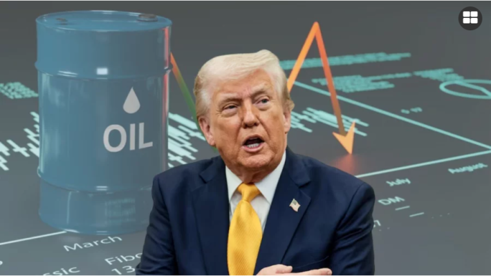 ট্রাম্পের এক বার্তায় বিশ্ববাজারে তেলের দামে বড় পতন