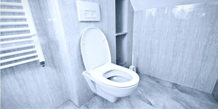 টয়লেটের দুর্গন্ধ দ্রুত দূর করার ৫ উপায়