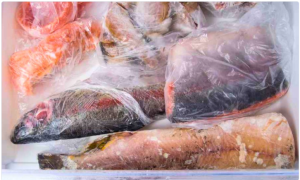 মাছ কত দিন পর্যন্ত ফ্রিজে সংরক্ষণ করে রাখা যায়