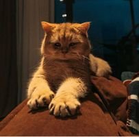 শিশুর প্রস্রাবে ইনফেকশন হলে কী করবেন