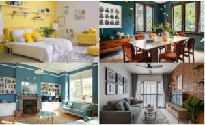 ঘর সাজাতে আসবাবের চেয়েও রঙের গুরুত্ব কেন বেশি?