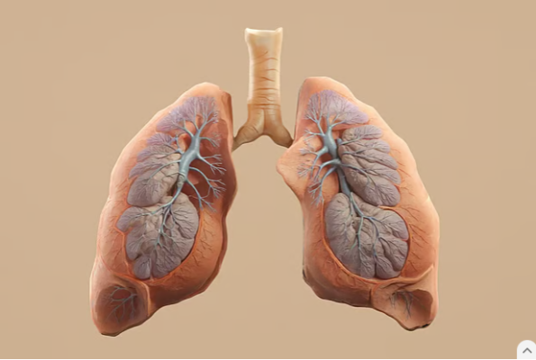 ই-সিগারেট বা ভেপ থেকে হতে পারে ফুসফুস ও মুখের ক্যানসার, নিশ্চিত হওয়া গেছে নতুন গবেষণায়