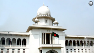 গর্ভের সন্তান ছেলে না মেয়ে, তা আর প্রকাশ করা যাবে না