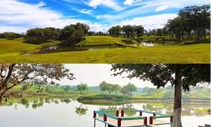 প্রকৃতিপ্রেমীদের জন্য ভ্রমণের নতুন গন্তব্য ‘ক্যামেলিয়া লেক’