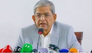 বাজেটে এত বড় ছাড় আগে দেখতে পাইনি: মির্জা ফখরুল