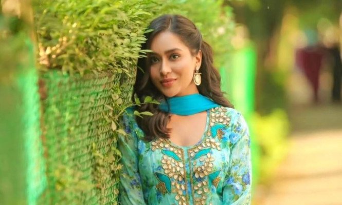 ‘সোশ্যাল মিডিয়ায় ঢুকলে মনে হয় ক্রাইম প্যাট্রল দেখছি’