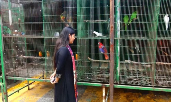 কংক্রিটের শহরে পাখির এক টুকরো স্বর্গ