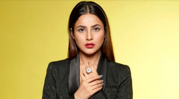 মজার উদাহরণ টেনে যে কথা বললেন শেহনাজ গিল