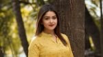 শাড়িকাণ্ডে ফের আলোচনায় অভিনেত্রী তিশা, ফোনালাপ ফাঁস