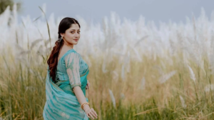 কাশবনে শরতের সৌন্দর্যে স্নিগ্ধ পূজা চেরী